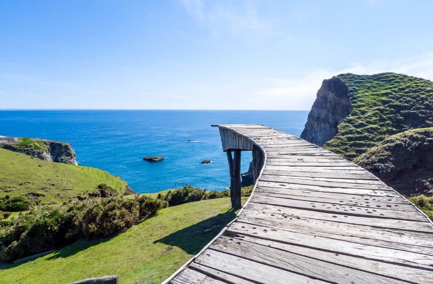 Chiloé National Park, Chiloé Island, Los Lagos Region, Chile